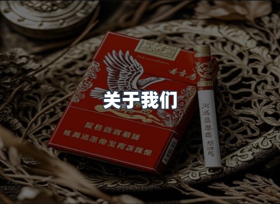 关于我们